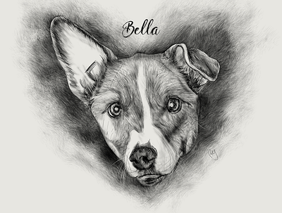 Dog Illustration: Bella animaldrawing dog dogart dogdrawing drawing illustration petdrawing petillustration sketch