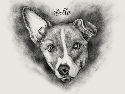 Dog Illustration: Bella