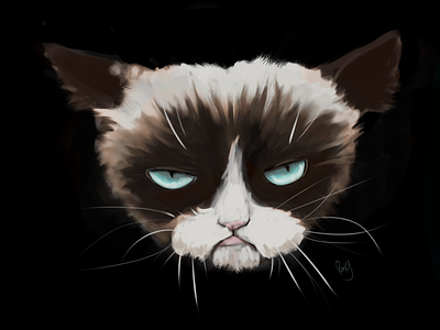 Grumpy Cat Fan Art cat fanart grumpycat illu illustration