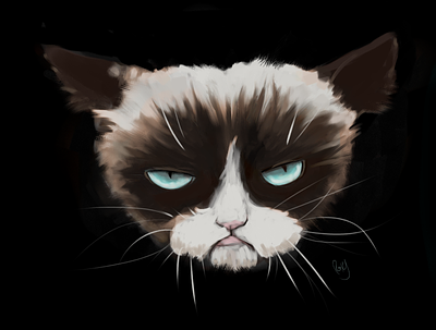 Grumpy Cat Fan Art cat fanart grumpycat illu illustration