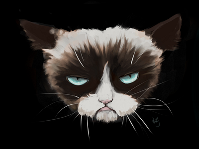 grumpy cat head png