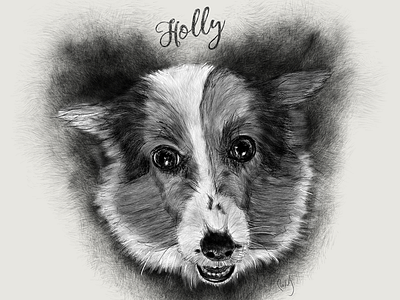 Pet Portrait - Holly