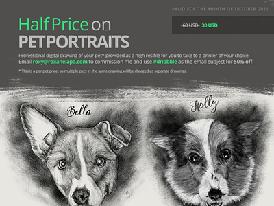 Pet Portraits dogs illustration petportrait petportraits portrait southafrican