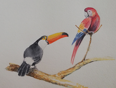 Bird Conversation bird illustration parrot toucan watercolor