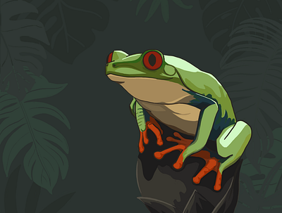 Red Eyed Frog artwork frog illustration ipad rainforest