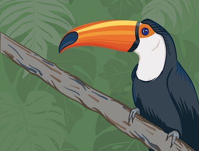 Toucan artwork illustration toucan