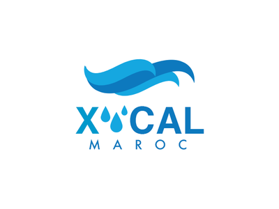 logo xcal animation behance branding branding concept cosmetic design dribbble dribbble best shot illustration typography ui