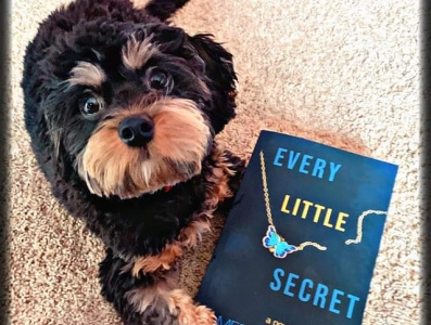 Every Little Secret book cover