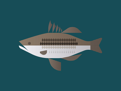 Micropterus punctulatus bass dots fish fishing geometric illustration kentucky scales spots usa