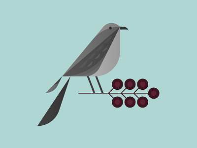 Mockingbird berry bird branch cranberry illustration mockingbird nature tennessee tree usa