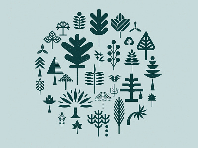 Herba Arbor holly icons leaves maple marks nature oak palm pine symbols trees walnut