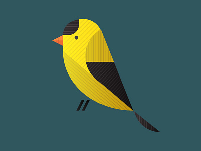 Eastern gold finch aves beak bird feathers flight illustration iowa usa