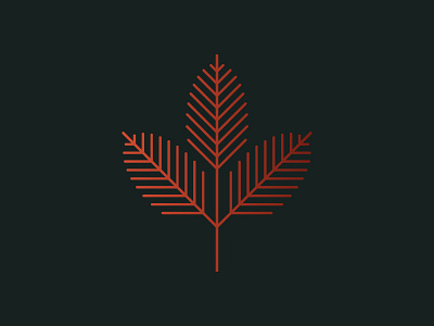 Redwood Branch icon leaf logo mark nature needles pine redwood symbol tree winter