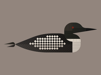 Loon bird duck illustration loon minnesota mn nature