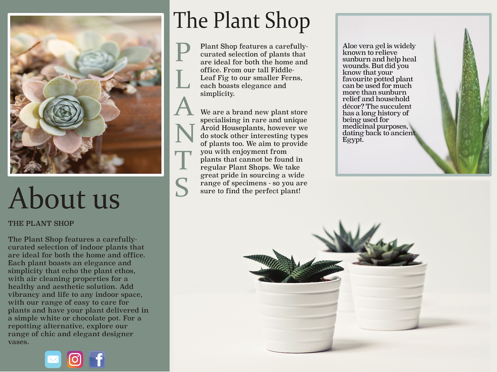 Plant shop Brochure by Anita Somogyi on Dribbble