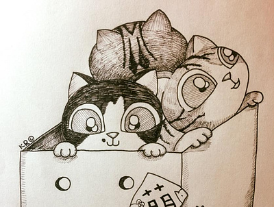 kittys of a box cats design hand drawn illustration kitty illustration