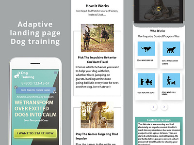 Adaptive landing page Dog training design
