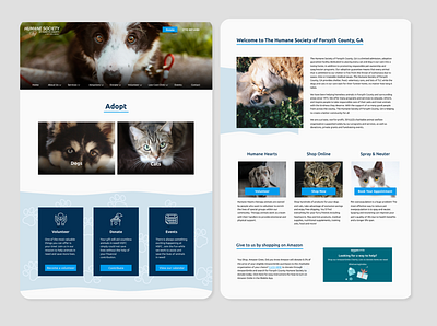 Humane Society design ui ux web