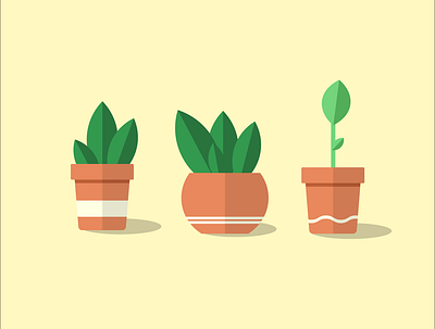 Plant pots design flat illustration minimal vector