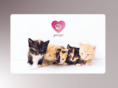 Daily UI Challenge. #5 App icon app appicon cats dailyuichallenge design kitten ui ux uxui