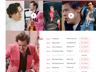 Harry Styles Mockup Website By Mary Silvestre On Dribbble