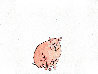 That's All Folks animal animal art animal illustration aquarell character design editorial illustration illustration pig piggy watercolor