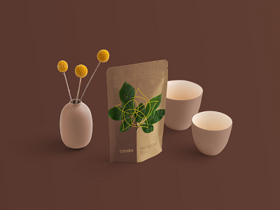 Oshba Brand Identity 3d art brand design brand identity branding identity design minimal package design packaging tea tea packaging visual identity براندينج