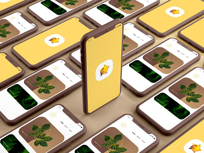 Oshba Brand Identity - App