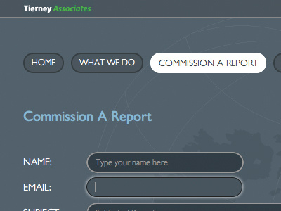 Report Form css3 form