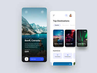 Travel Booking App animation app booking branding canada clean dailyui design experience iceland illustration interaction mobile norway travel ui usa ux web design