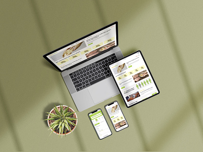 Feasto Share App and Responsive Website app design figma food donation app minimal responsive ui ux website