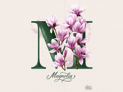 M. Magnolia. alphabet botanica botanical calligraphy digital illustration floral flower graphic design greeting card illustration letter lettering magnolia postcard design poster design procreate art realistic typography