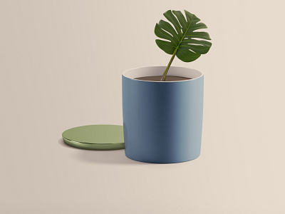 Plante - Vert - pot pot