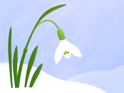 Spring is coming 8 марта animation flower gif illustration loop printemps spring texture timelapse весна таймлапс