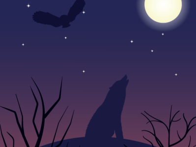 Wolf Silhouette forest illustration night owl stars vector vector illustration wild animal wildlife wolf