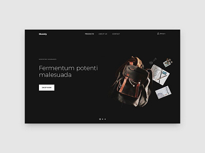 Wordpress theme dark minimal template theme ui design wordpress