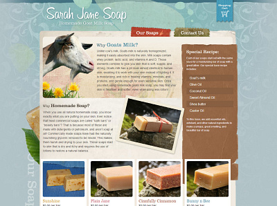 Sarah Jane Soap web design webdesign