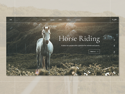 Horse Riding website animated design horse horse riding landing page ui ux web website