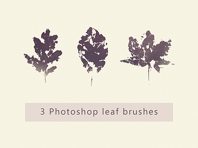 3 Photoshop Leaf Brushes autumn fall leaf photoshop brush