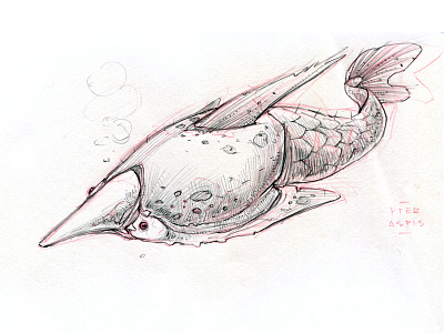 Pteraspis fish heterostracan illustration prehistoric sketch