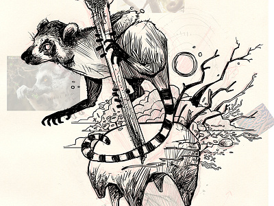 Ring Tail illustration ink lemur ring tail wip