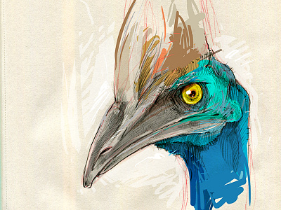 Cassowary