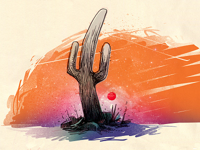 Cactus cactus illustration sketch sunset