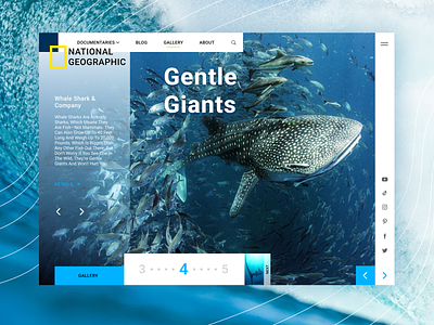 National Geographic Gallery Page gallery national geographic oceans skillshare website