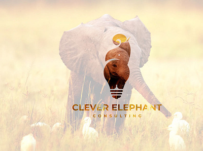 Clever Elephant animals business enviroment