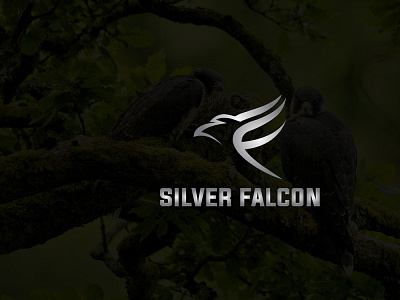 Silver Falcon