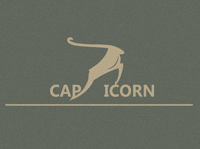 Capricorn logo design branding design illustration logo logodesign minimal typography vector