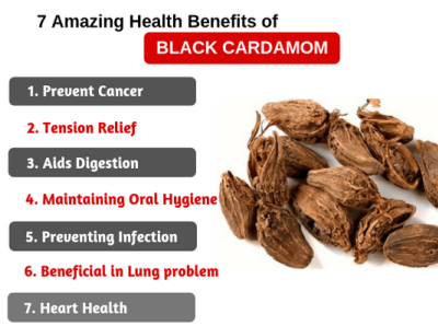 dribbble black cardamom png by deepak kumar gupta dribbble