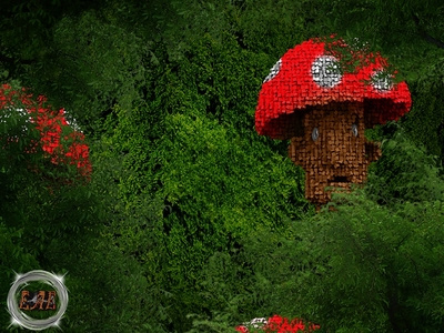 Discover The Forest !
