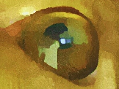 rothschild eye